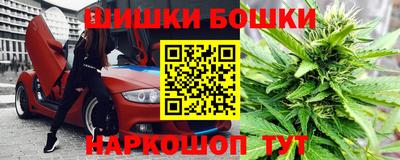 spice Камышлов