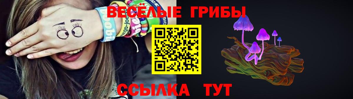 Галлюциногенные грибы мухоморы  цены   Заинск  Вход с VPN 